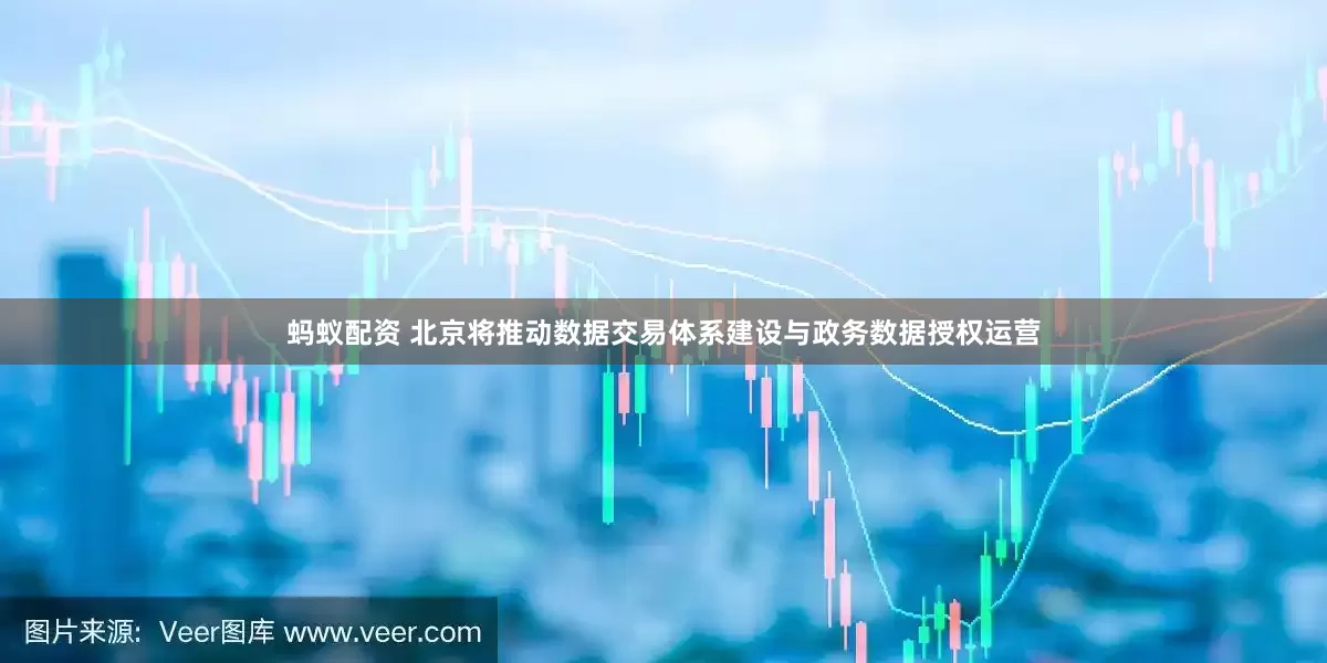 蚂蚁配资 北京将推动数据交易体系建设与政务数据授权运营