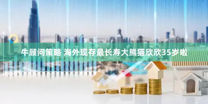 牛顾问策略 海外现存最长寿大熊猫欣欣35岁啦