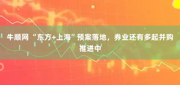 牛顺网 “东方+上海”预案落地，券业还有多起并购推进中